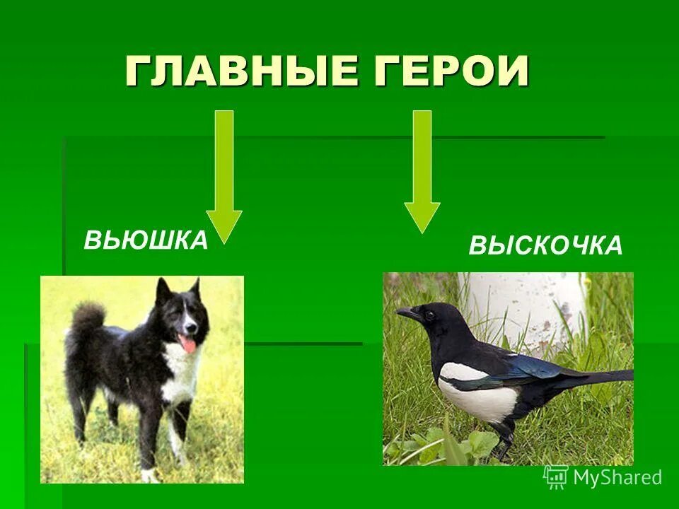 тема рассказа выскочка