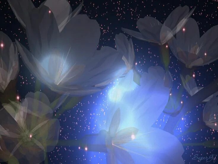 Анимированные картинки. Ночной цветок. Цветы анимация. Волшебные ночные цветы. Анимированный фон с цветами.
