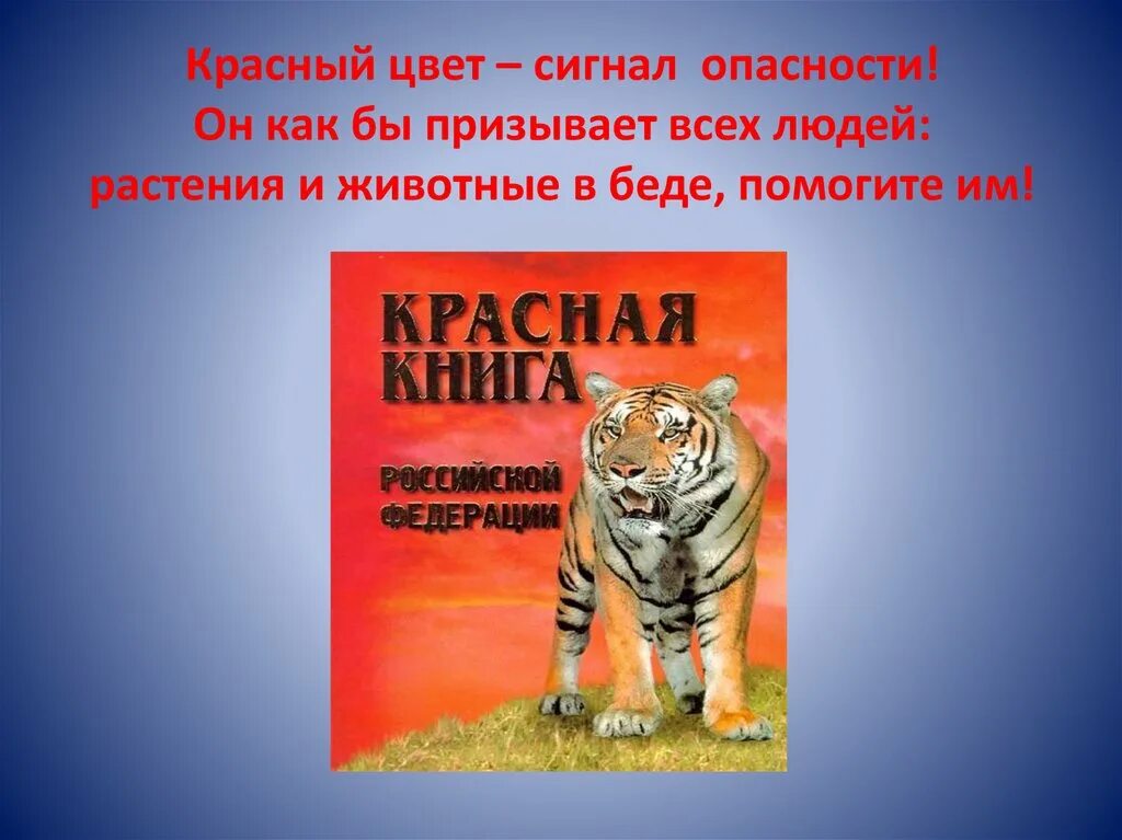 Образцы красной книги. Проект красная книга. Проект красная книга окружающий мир. Проект красная книга 2 класс окружающий мир. Проект красная книга 2 класс.