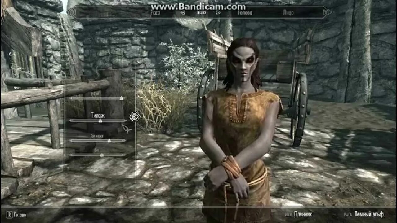 Skyrim создание. Скайрим редактор персонажа. скайрим создание персонажа. расы скайрима мем. скайрим созданные персонажи.