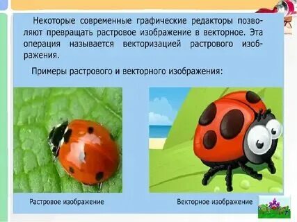 Разница между векторной и растровой