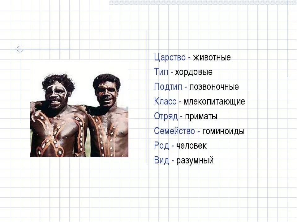Человек разумный семейство. Человек разумный семейство. Человек разумный семейство. Человек разумный род вид семейство. Отряд приматы человек.