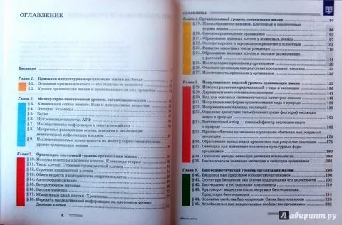 Содержание учебника биологии 6 класс