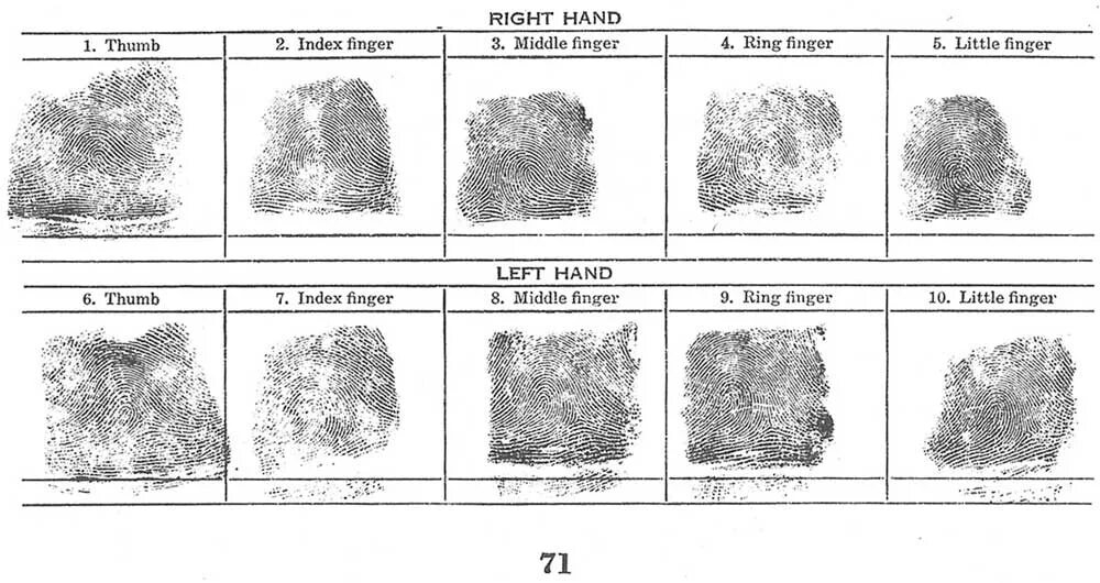 Отпечатки пальцев таблица. Таблица Отпечатки пальцев дактилоскопия. Отпечатки пальцев в досье. Дактокарта криминалистика. Description ru теги отпечатков en fptags
