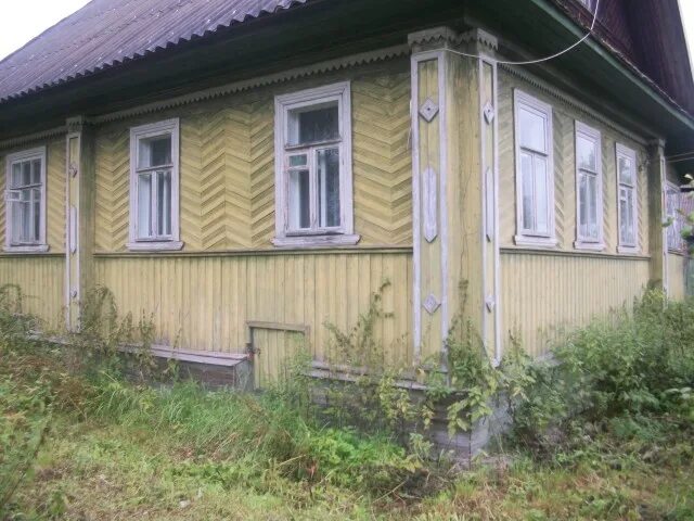 Погода осеченка тверская область. Осеченка вышний волочек.