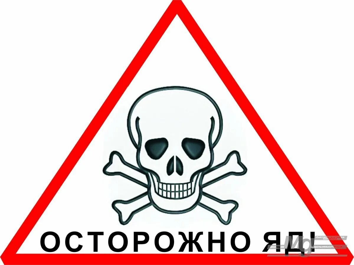 Отрава текст. Осторожно яд. Знак «осторожно. Яд!». Осторожно токсично. Знак яда.