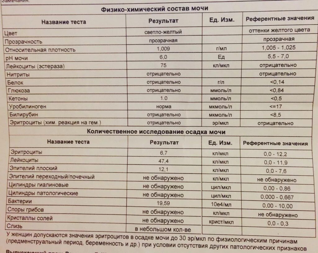 Лейкоциты в моче норма у детей. Показатели лейкоцитов в моче норма. лейкоциты в моче кл/мкл норма у женщин. норма лейкоцитов в моче у ребенка 12 лет норма таблица. лейкоциты в моче у женщин норма таблица.