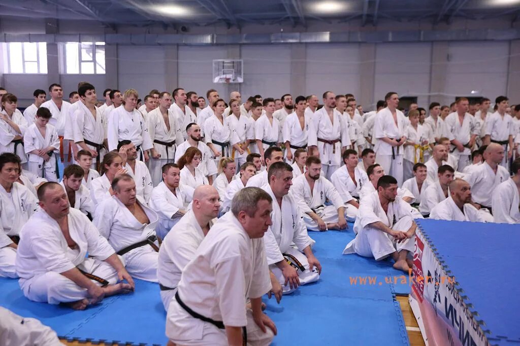 единоборства волгоград. единоборства волгоград. дзюдо волгоград краснооктябрьский район. зал бокса цска волгоград.