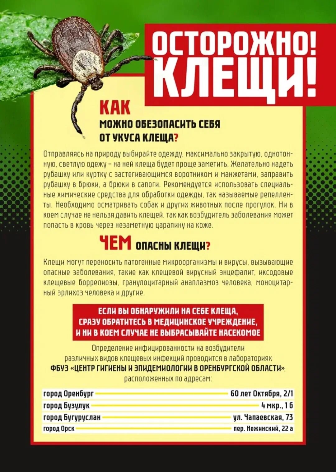 Клещи информация. Осторожно клещи. памятка осторожно клещ. клещ памятка. клещи листовка.