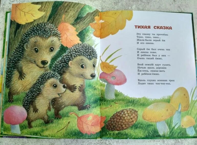 Читать про ежика. Сказка про ежика для детей. маршак с. &quot;тихая сказка&quot;. тихая сказка книга. сказка с ёжиком.