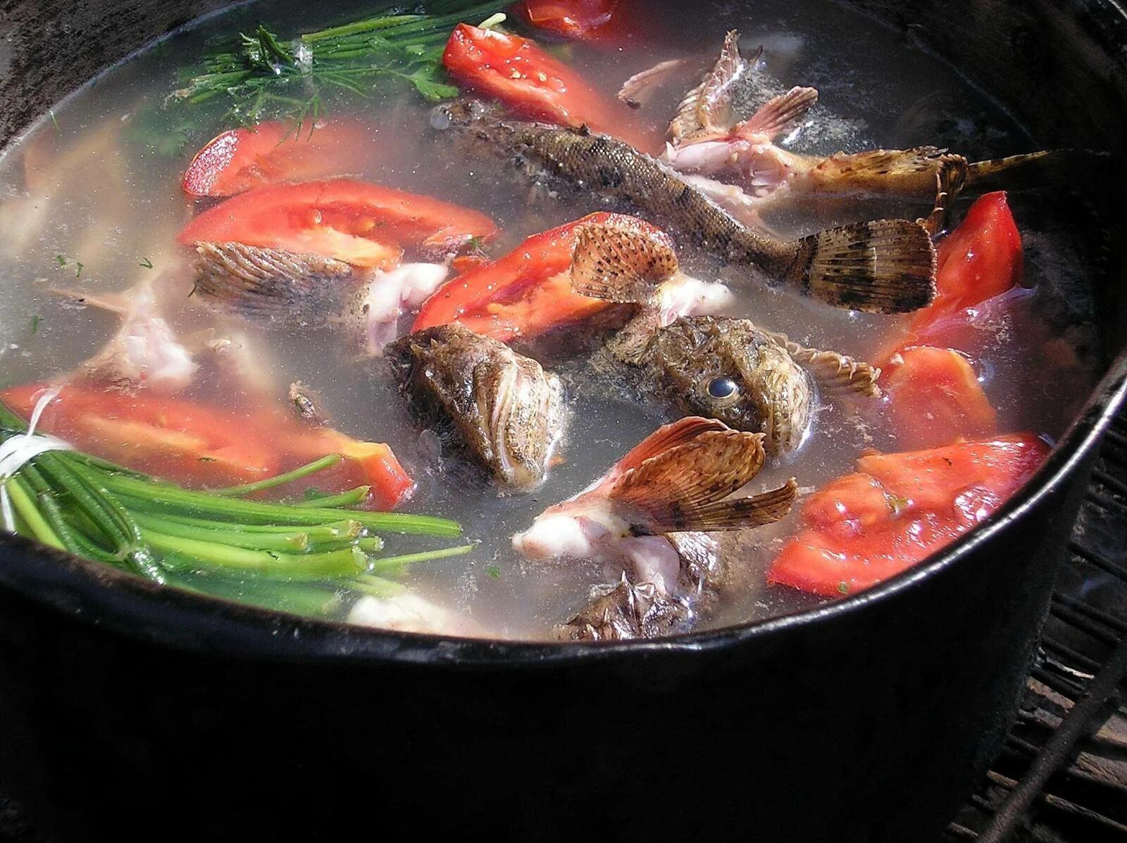 Как приготовить вкусную уху