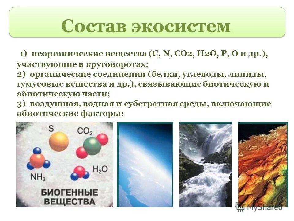 схема цепи питания продуценты консументы редуценты. биологический круговорот веществ в экосистеме. органические вещества в экосистеме. вещество экосистемы.