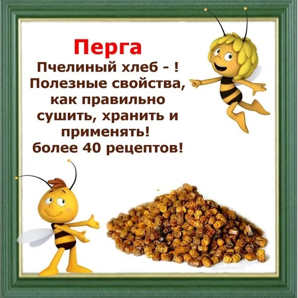 Перга. Перга пчелиная. Перга продукты пчеловодства. Перга полезные св- ва. Свойства перги отзывы