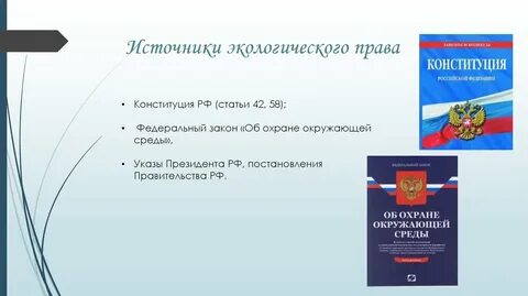 Право на окружающую среду конституция
