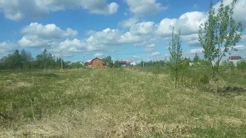 Погода в покровское рузская область