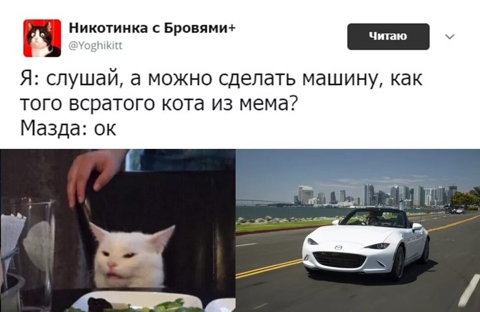 В нее бабло вливается песня машина. Кот Мазда. Мемы про котиков и машины. Машина похожая на кота. Кот из мема в машине.