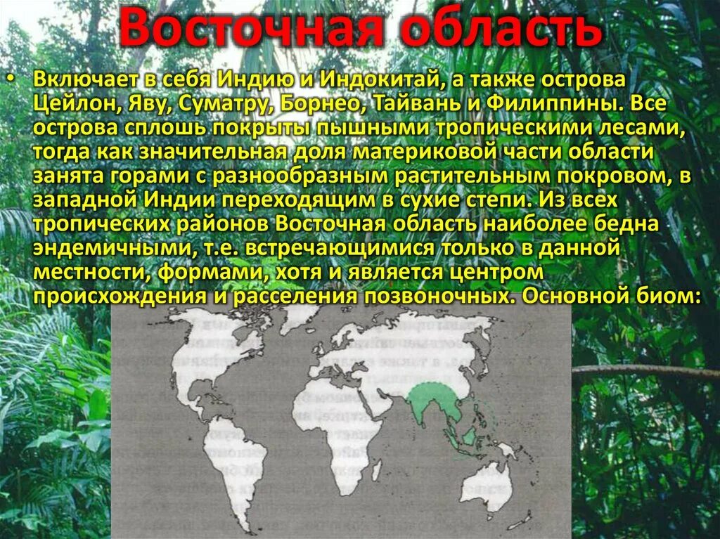 Биомы суши. Восточная область биомы. Палеарктическая область биомы. Индо-Малезийское флористическое Подцарство. Основные биомы суши.