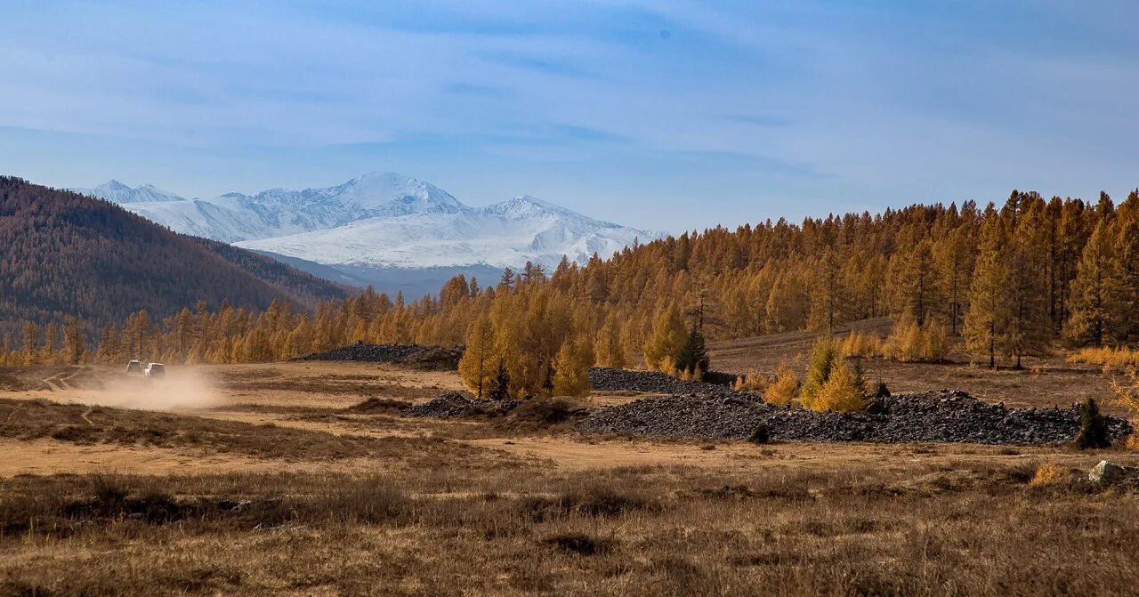 Пазырыкские Курганы горный Алтай. Пазырыкские Курганы на Алтае. Пазырыкские Курганы в Горном Алтае. Урочище Пазырык Алтай горный.