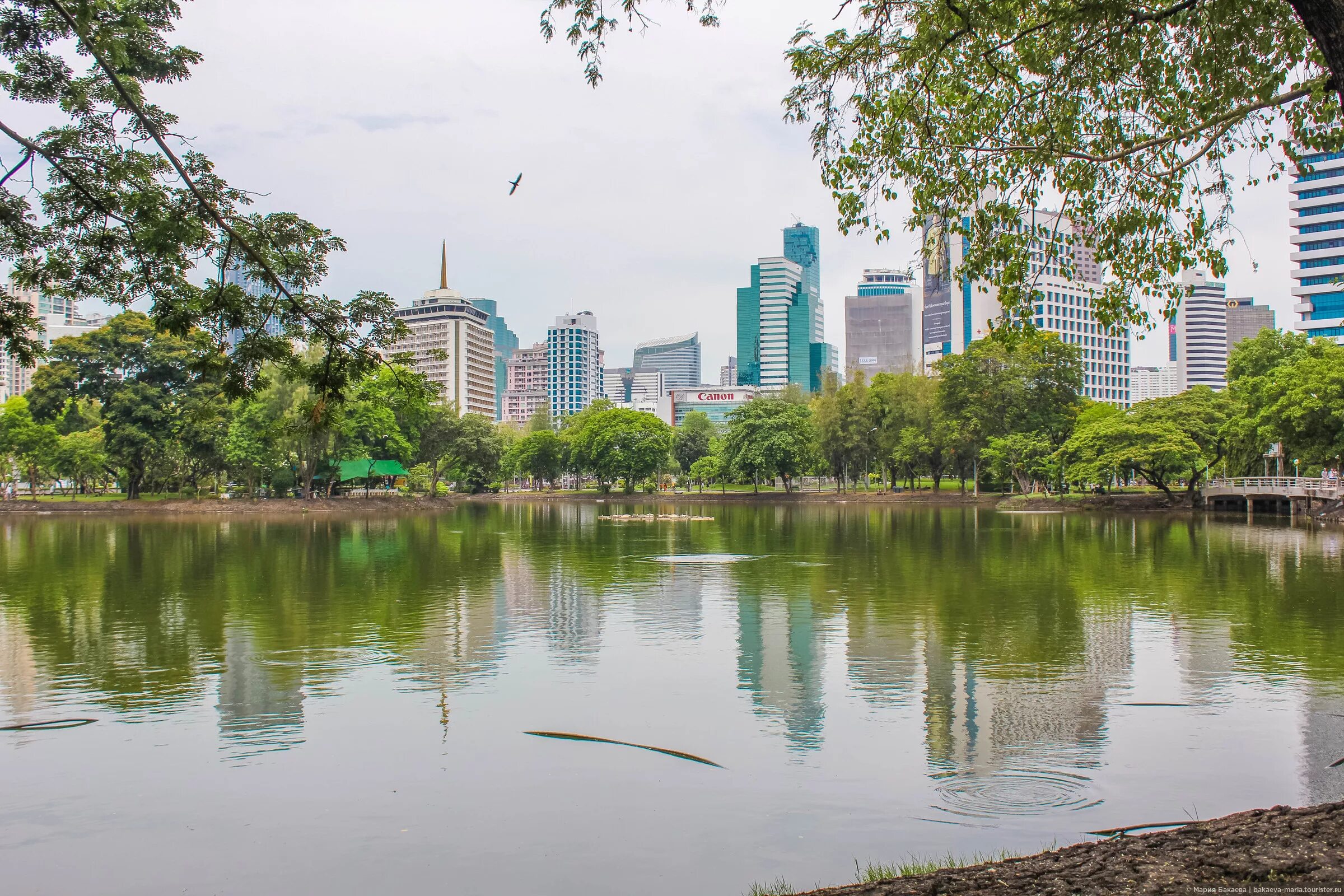 Люмпини бангкок. Парк Люмпини / Lumpini Park. Парки Lumphini Бангкок. Парк Люмпини Бангкок фото.