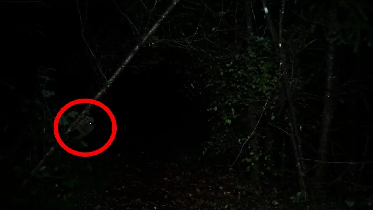 Как выглядит ырка в реальной Dover Demon Paranormal Strange Wiki Fandom