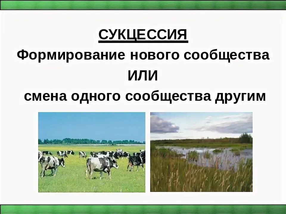 Конспект урока понятие о природном сообществе