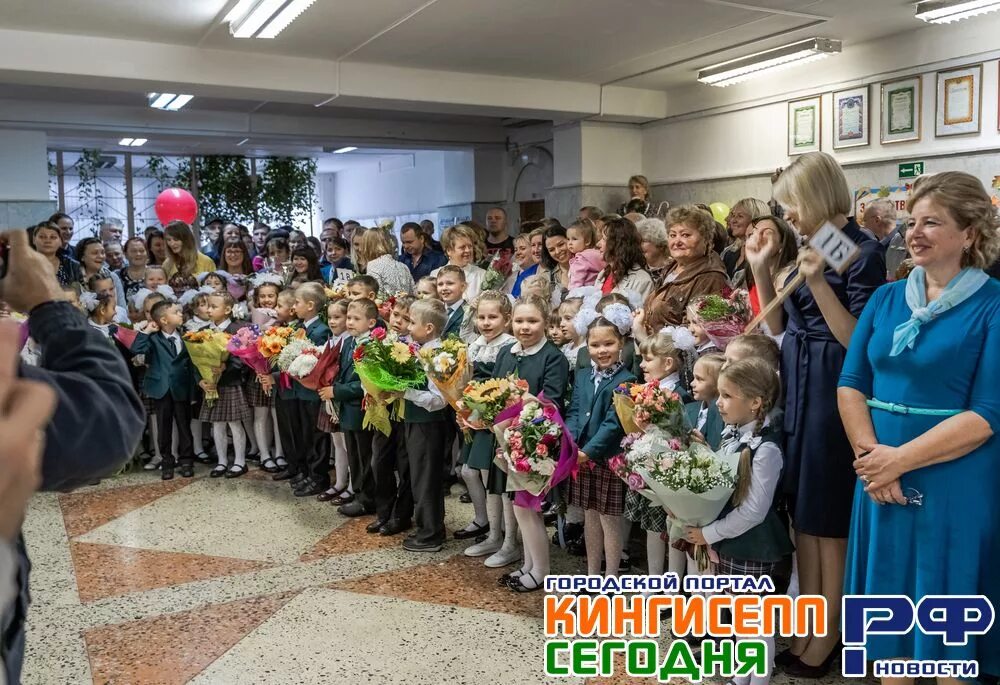 кингисепп рф. город-кингисепп рф. кингисепп рф. кингисепп сегодня фото. новости кингисеппа.