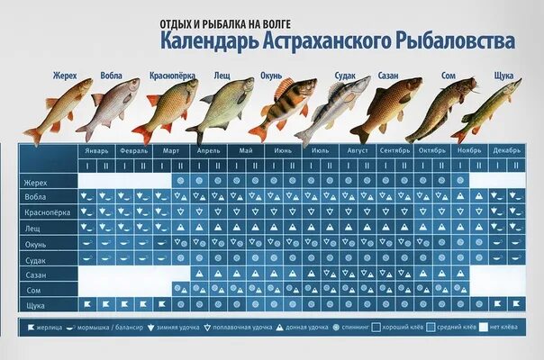 Календарь рыбалки. Календарь рыболова. Таблица клева рыбы. Таблица клева щуки. Календарь рыбака краснодарский край