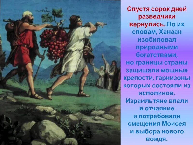 Направление соглядатая 6 букв. Соглядатаи в Ханаане. Ханаан земля обетованная.