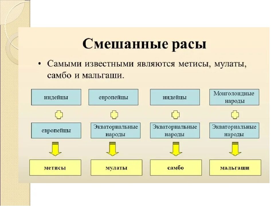 Расы и народы 5 класс. Смешанные расы. Смешанные расы людей. Основные и смешанные расы. Смешанные человеческие расы.