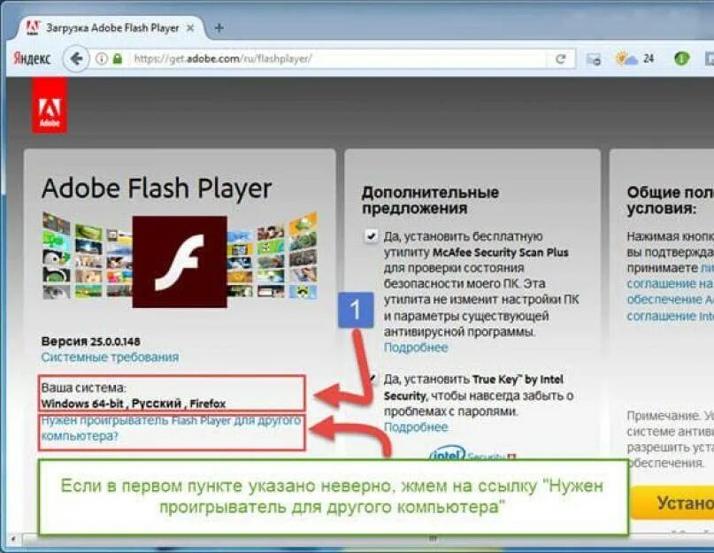 Установить adobe player. Adobe Flash Player. Обновление Adobe Flash Player. Адоб флеш плеер. Установлен Adobe Flash Player.