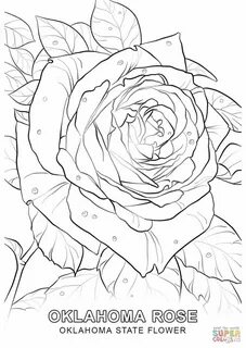 Ai coloring