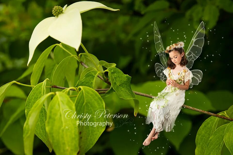 Зубной детский фея. Зубная фея аниматор. Зубная фея называется. Зубная фея. Зубная фея для детей.