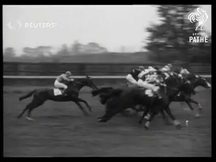 The horse won the race