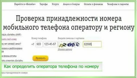 Великом узнать номер телефона