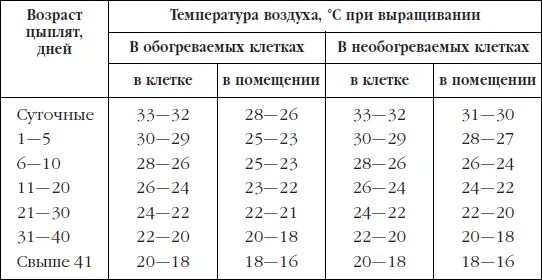 Температура для кур. Температурный режим выращивания цыплят. температурный режим бройлерных цыплят. температура выращивания цыплят бройлеров. температурный режим выращивания цыплят несушек.