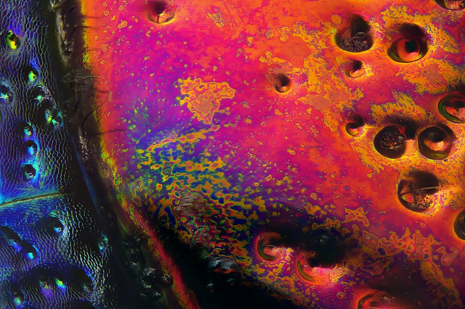 краски под микроскопом. молекула дмт под микроскопом. кристаллы под микроскопом. краска под микроскопом. жидкости под микроскопом.