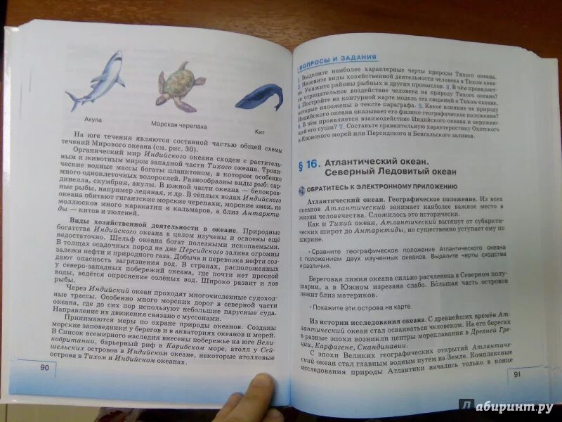 География 7 класс 6 параграф читать. География душина коринская. география 7 класс коринская. душина география фгос 7 класс.