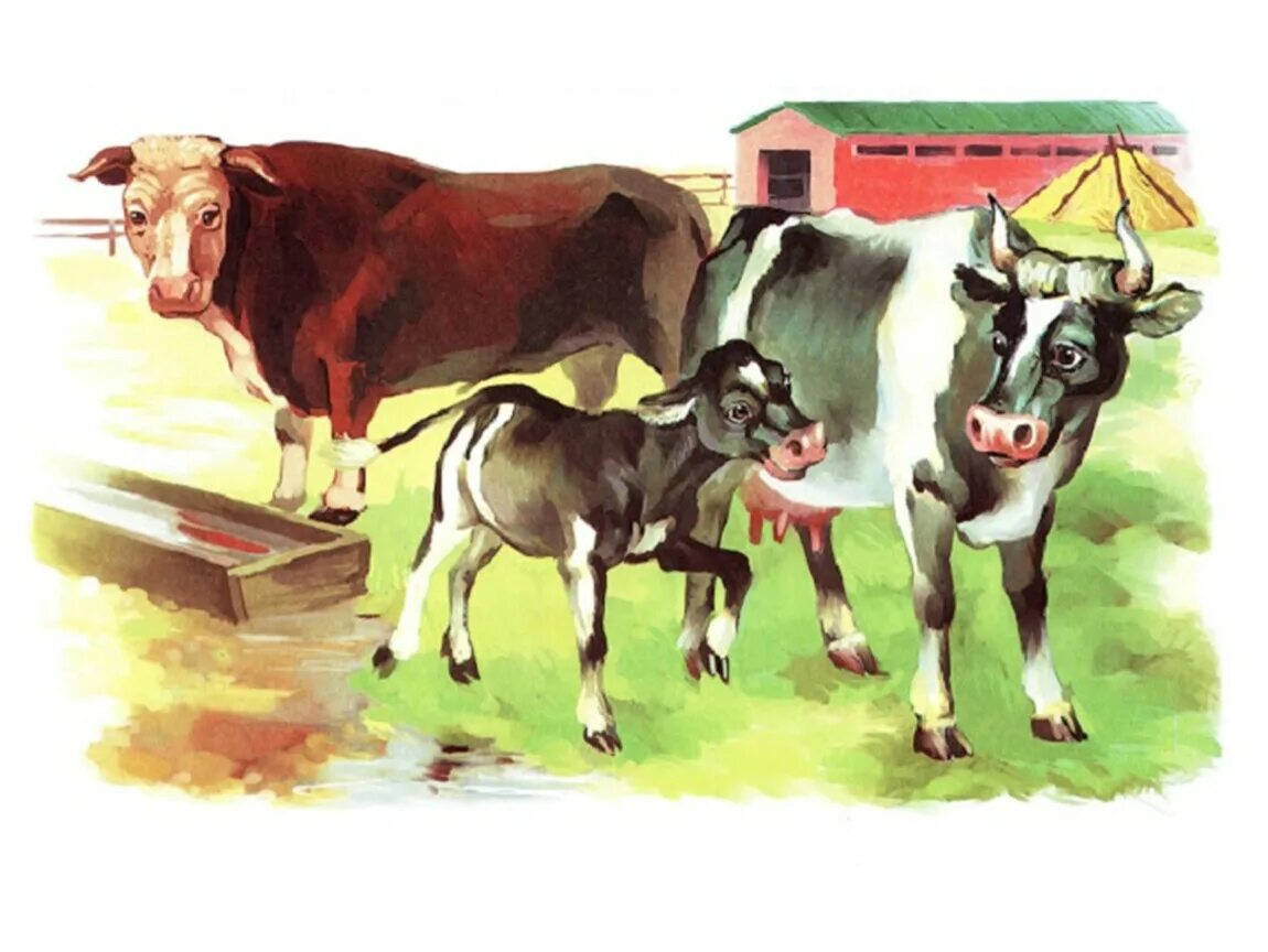 Корова урок 5 класс. Иллюстрации домашних животных. Домашних животных для детей. Изображения домашних животных для детей. Картинки домашних животных для детей.