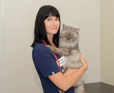 Ветеринар самара