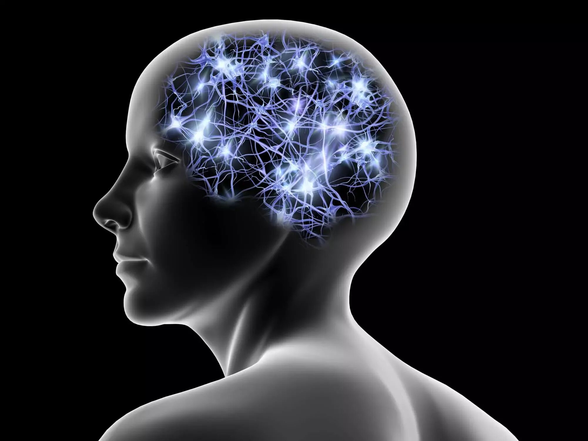 Нервная система человека память. Мысленное моделирование. Мозг подсознание.