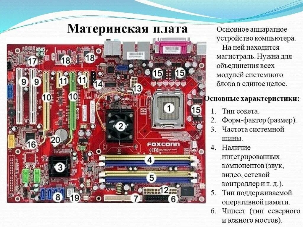 Компоненты системной платы. Схема основных компонентов материнской платы. Материнская плата компоненты схема. Основные компоненты материнской платы компьютера. Разъемы на системной плате.