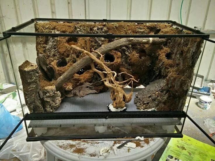 Экспериментатор поместил мышь в террариум. Экспериментатор поместил мышь в террариум. Террариум для ежика. Exo terra террариум 45x45x90. Террариум repti planet 60 45 60.