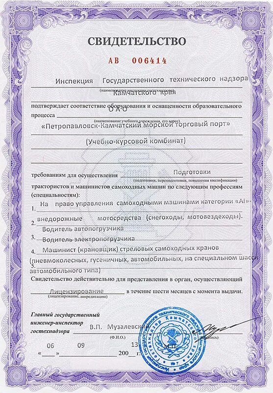 декларация соответствия. 3. свидетельство о безопасности конструкции транспортного. свидетельство о соответствии транспортного средства. свидетельство о безопасности конструкции тс.