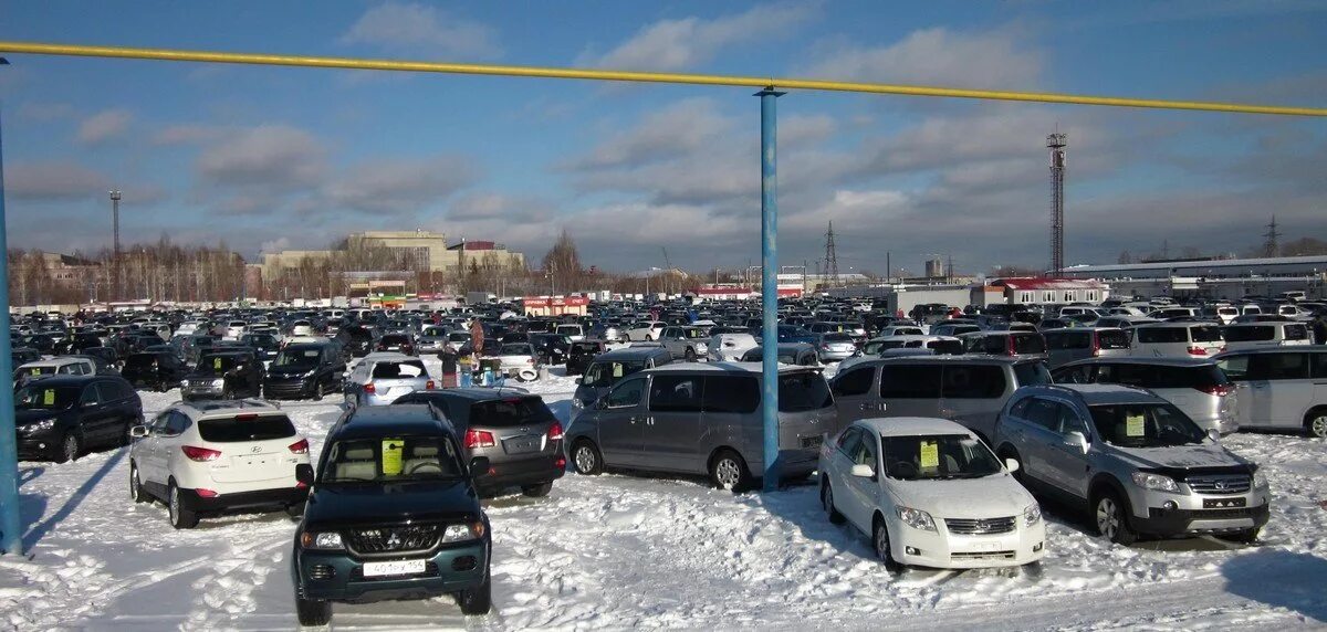 Авторынок столица Новосибирск. Петухова авторынок столица. Автомобильный рынок Новосибирск. Авто рынок Новосибирский. Тачки новосибирск