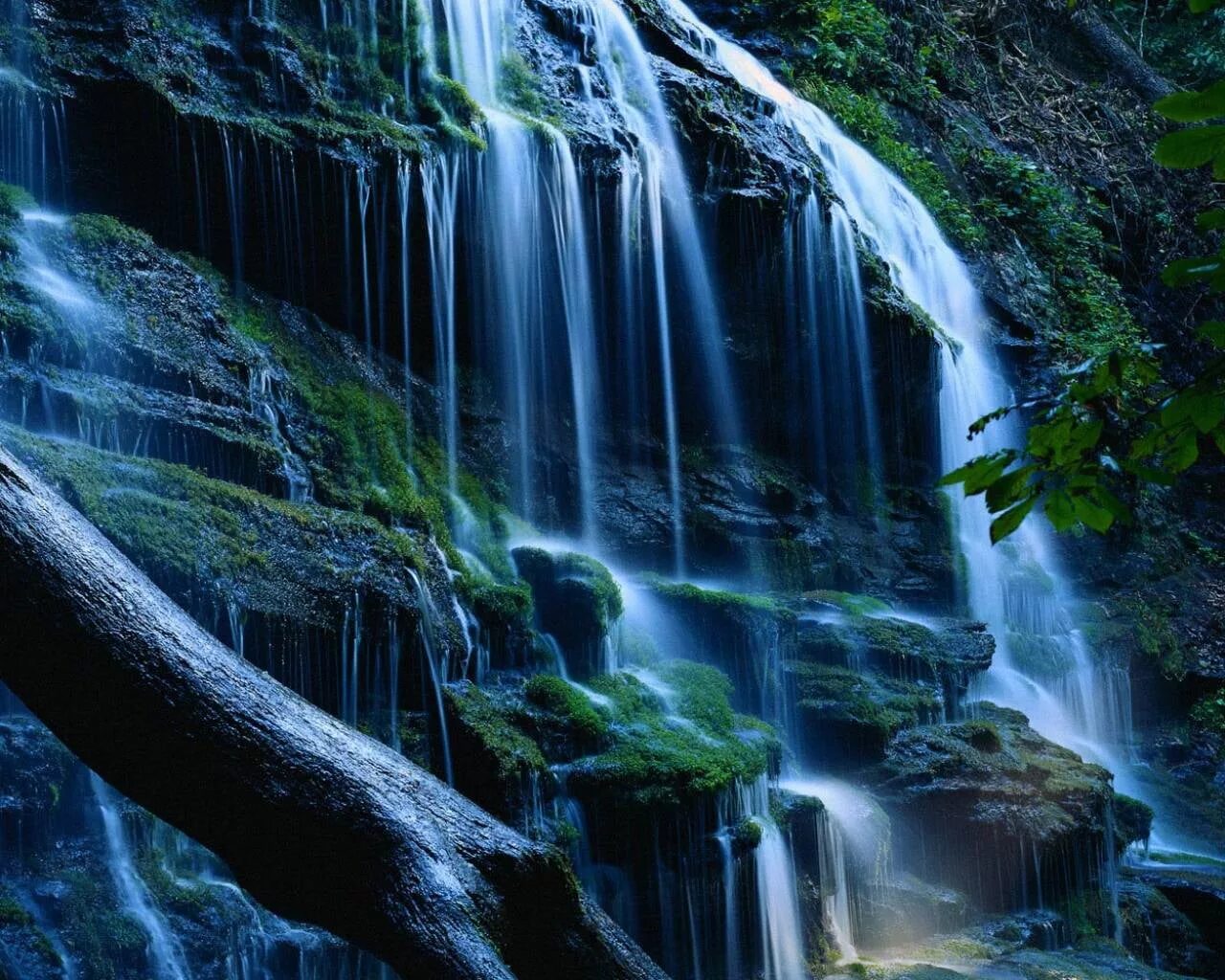 Красивые водопады. Живая природа водопады. Красивые картинки. Водопад картинки. Красиве видео