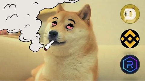 Doge day