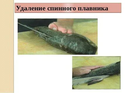 Обработка чешуйчатой рыбы