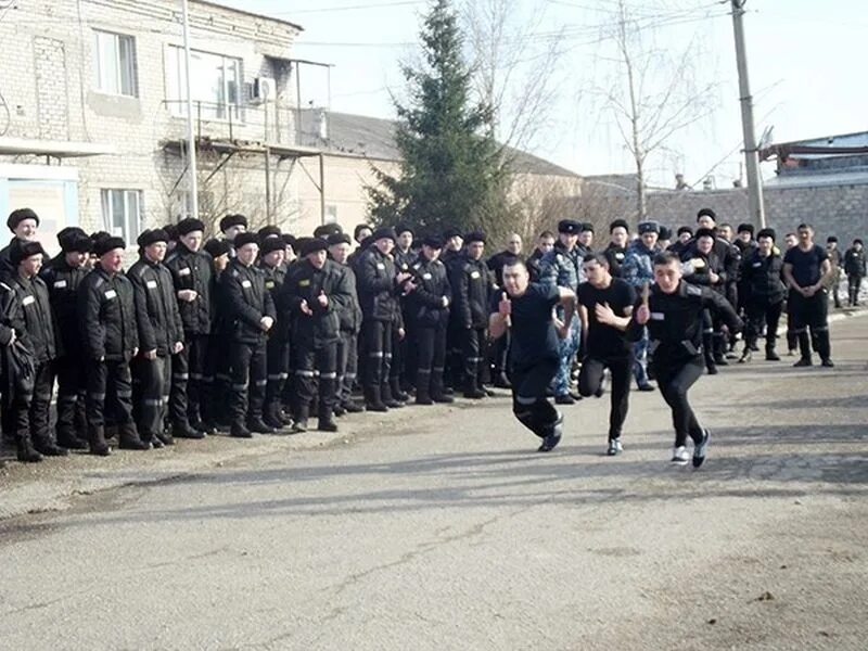 Колония общего режима 2