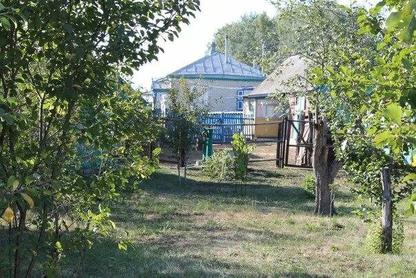 Александровка донская. Погода в александровке павловского воронежской. Погода в александровке павловского воронежской. Село александровка донская воронежская область. Александровка донская школа.
