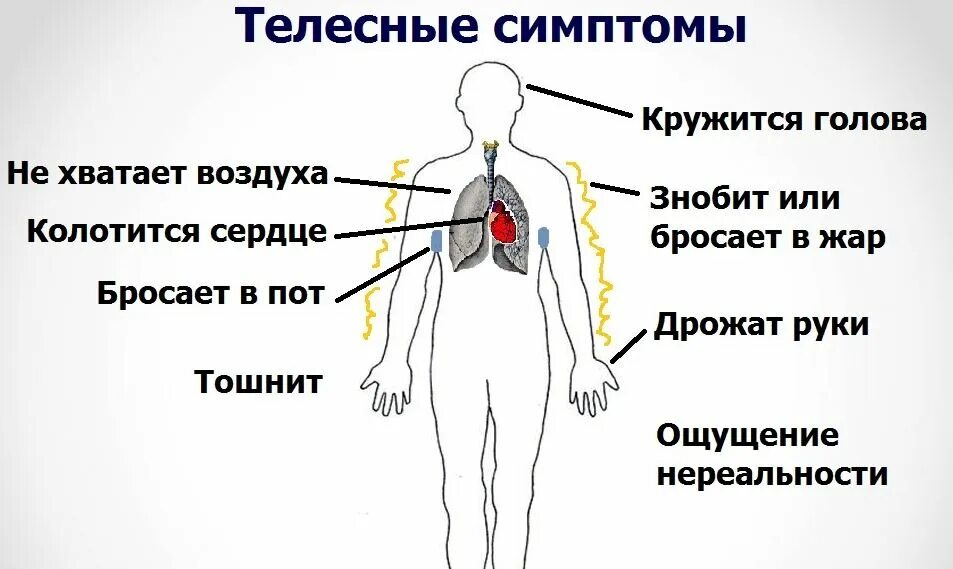 Почему постоянно трясет. Кружится голова и тошнит. Кружитьсяголоваитошнит. Сердце тошнит и кружится голова.